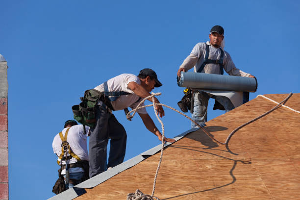 Best Metal Roofing Contractor  in Victoria, MN