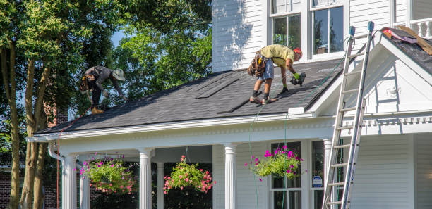 Best New Roof Installation  in Victoria, MN